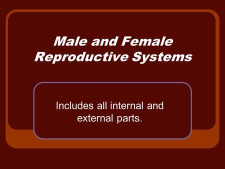 Male and Female Reproductive Systems