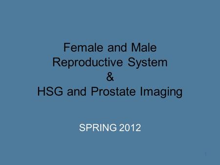 1 Female and Male Reproductive System & HSG and Prostate Imaging SPRING 2012.