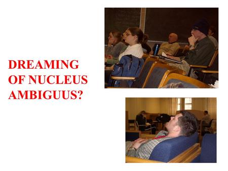 DREAMING OF NUCLEUS AMBIGUUS?. Pole Dancing Rehearsal?