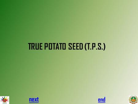 TRUE POTATO SEED (T.P.S.) next end. next previousend Tiny botanical seeds of potato obtained by crossing two parental lines of Potato, a substitute of.