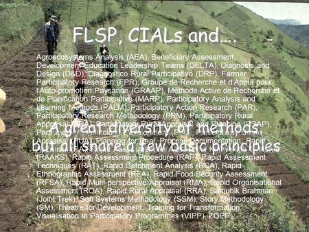 FLSP, CIALs and…. Agroecosystems Analysis (AEA), Beneficiary Assessment, Development Education Leadership Teams (DELTA), Diagnosis and Design (D&D), Diagnostico.