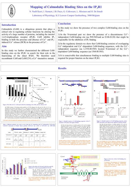 Mapping of Calmodulin Binding Sites on the IP 3 R1 N. Nadif Kasri, I. Sienaert, J.B. Parys, G. Callewaert, L. Missiaen and H. De Smedt Laboratory of Physiology,