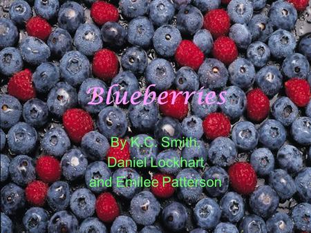 Blueberries By K.C. Smith, Daniel Lockhart and Emilee Patterson.