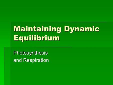 Maintaining Dynamic Equilibrium