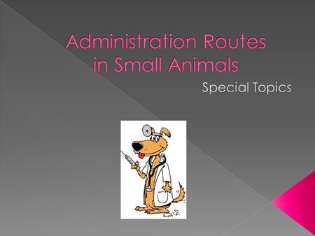 Administration Routes in Small Animals