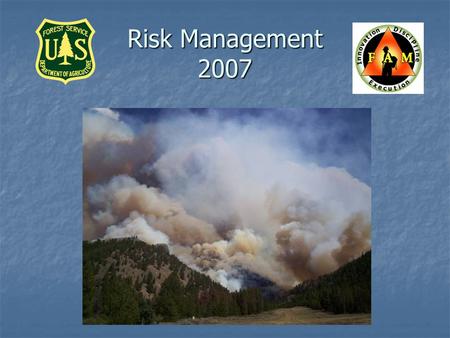 Risk Management 2007. Historic Trends Based on Safety Gram data - from 1990-2006: Based on Safety Gram data - from 1990-2006: 306 Individuals died in.