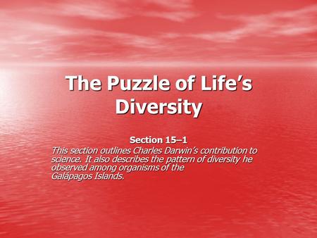 The Puzzle of Life’s Diversity