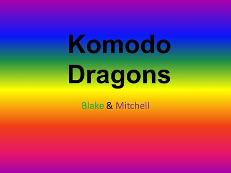 Komodo Dragons Blake & Mitchell. Their Bodies They are more than ten feet long. They have four feet. They weigh 300 pounds.