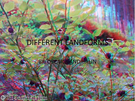 DIFFERENT LANDFORMS BY: OSCAR &ANDRIALIN. CANYON #1 A CANYON IS ONE OF THE LANDFORMS. MOST CANYONS ARE MADE BY ROCKS WHEN THEY COME TUMBULING DOWN.