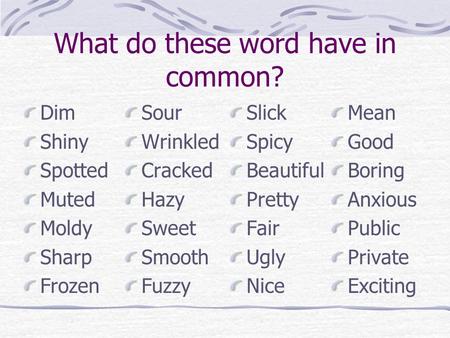 What do these word have in common? Dim Shiny Spotted Muted Moldy Sharp Frozen Sour Wrinkled Cracked Hazy Sweet Smooth Fuzzy Slick Spicy Beautiful Pretty.