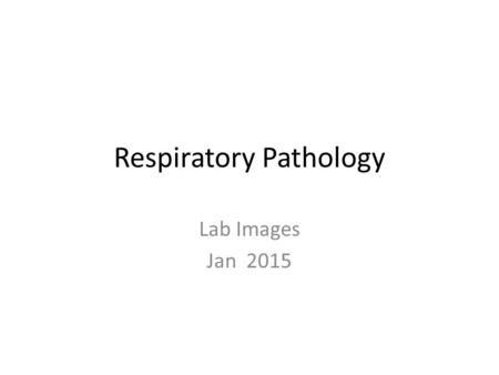 Respiratory Pathology Lab Images Jan 2015. Bronchopneumonia.