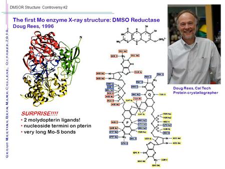 DMSOR Structure: Controversy #2 Group Meeting Bryn Mawr College, October 2010 SURPRISE!!!! 2 molydopterin ligands! nucleoside termini on pterin very long.