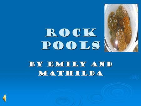 ROCK POOLS By Emily and Mathilda What is a rock pool?  Rock pools are places by the beach where there are rocks that have a hollow filled with sea water.