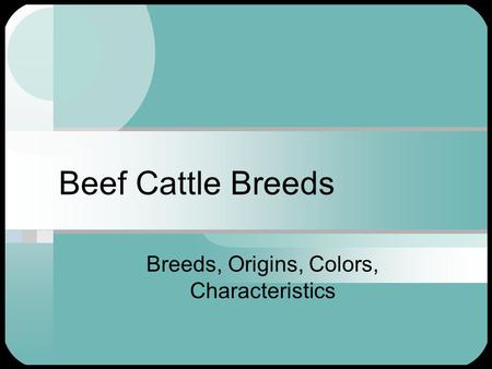 Breeds, Origins, Colors, Characteristics