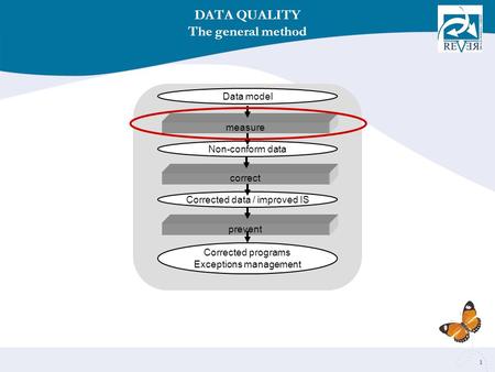 1 DATA QUALITY The general method Data model Non-conform data Corrected data / improved IS Corrected programs Exceptions management measure correct prevent.