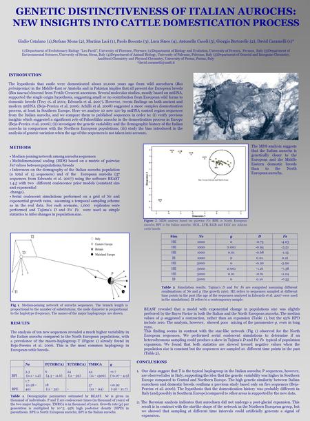 GENETIC DISTINCTIVENESS OF ITALIAN AUROCHS: NEW INSIGHTS INTO CATTLE DOMESTICATION PROCESS Giulio Catalano (1),Stefano Mona (2), Martina Lari (1), Paolo.