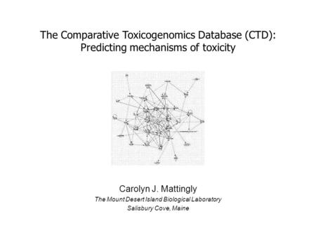 Carolyn J. Mattingly The Mount Desert Island Biological Laboratory Salisbury Cove, Maine The Comparative Toxicogenomics Database (CTD): Predicting mechanisms.