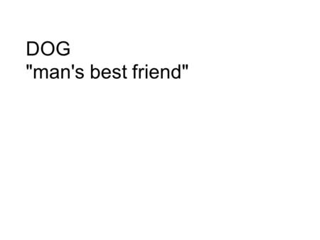 DOG man's best friend. Dog The dog (Canis lupus familiaris) – is a domesticated subspecies of the gray wolf, – a mammal of the Canidae family of the.