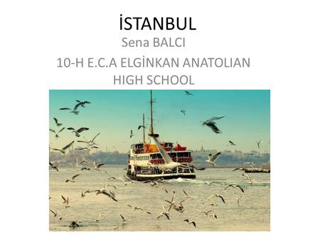 İSTANBUL Sena BALCI 10-H E.C.A ELGİNKAN ANATOLIAN HIGH SCHOOL.