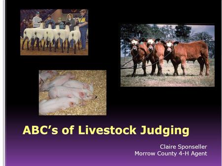 Claire Sponseller Morrow County 4-H Agent. Evaluating (comparing) an animal against a common standard (ideal) Four steps Information Observation Comparison.