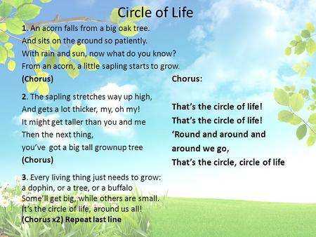 Circle of Life 1. An acorn falls from a big oak tree. And sits on the ground so patiently. With rain and sun, now what do you know? From an acorn, a little.