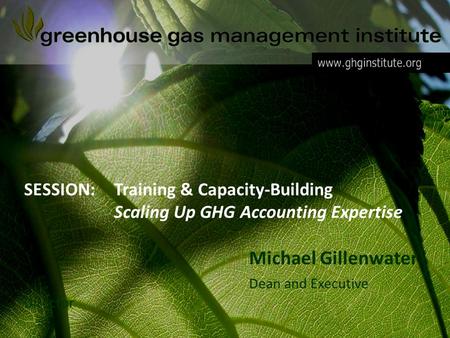 SESSION:Training & Capacity-Building Scaling Up GHG Accounting Expertise Michael Gillenwater Dean and Executive Director.