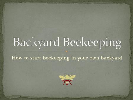 How to start beekeeping in your own backyard. “The bee is more honored than other animals, not because she labors, but because she labors for others.”