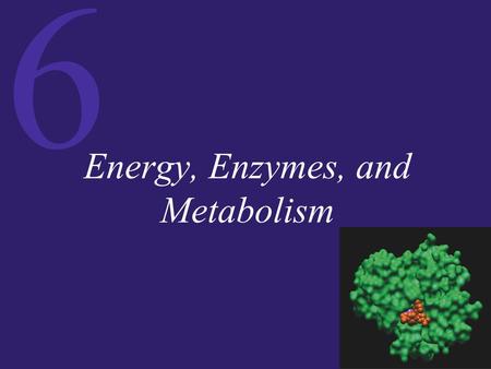 Energy, Enzymes, and Metabolism