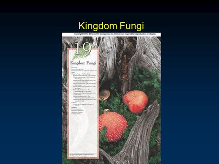 Kingdom Fungi.