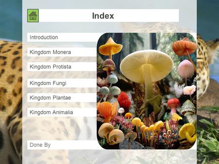 Index Introduction Kingdom Monera Kingdom Protista Kingdom Fungi