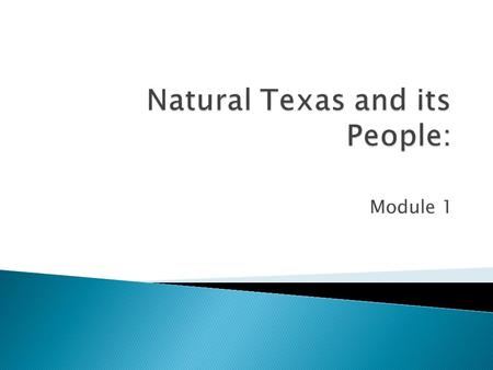 Natural Texas and its People: