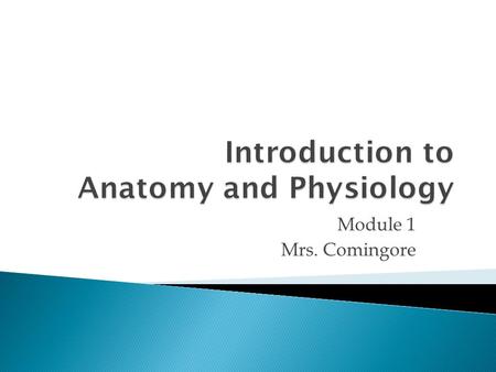 Introduction to Anatomy and Physiology