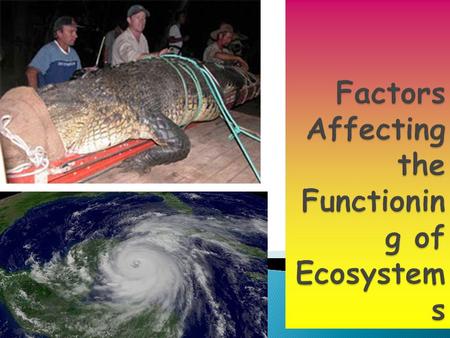  Is the main source of the climatic factors affecting ecosystem functioning and nutrients such as nitrogen, carbon and oxygen  Temperature and rainfall.