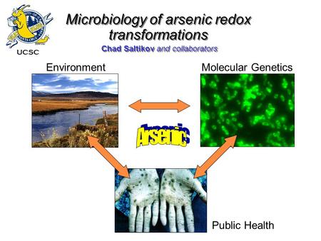 Chad Saltikov and collaborators Microbiology of arsenic redox transformations Molecular GeneticsEnvironment Public Health UCSC.