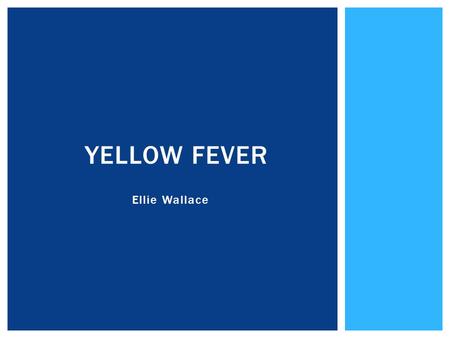 Ellie Wallace YELLOW FEVER. CASE STUDIES Sarah CASE STUDIES UmohSarah.