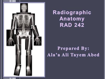 Radiographic Anatomy RAD 242