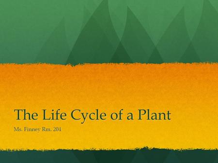 The Life Cycle of a Plant