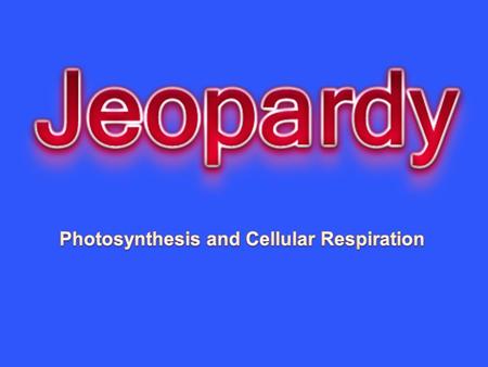 Photosynthesis and Cellular Respiration