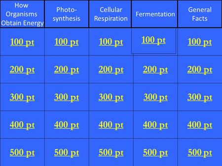 200 pt 300 pt 400 pt 500 pt 100 pt 200 pt 300 pt 400 pt 500 pt 100 pt 200 pt 300 pt 400 pt 500 pt 100 pt 200 pt 300 pt 400 pt 500 pt 100 pt 200 pt 300.