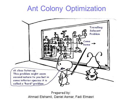 Ant Colony Optimization