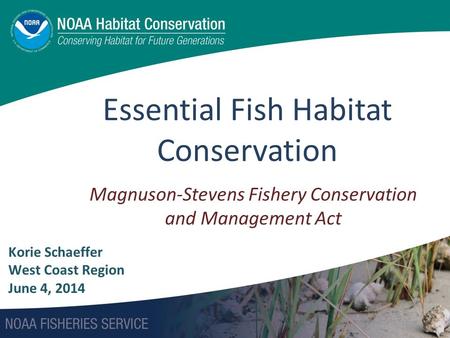 Essential Fish Habitat Conservation