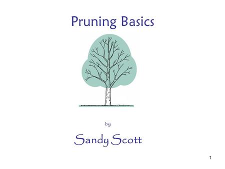 1 Pruning Basics by Sandy Scott. 2 Pruning Equipment Gloves Hand pruners ½” –By pass –Anvil –Ratchet –Strong metal –Safety lock –Spring –Sharp –Clean.