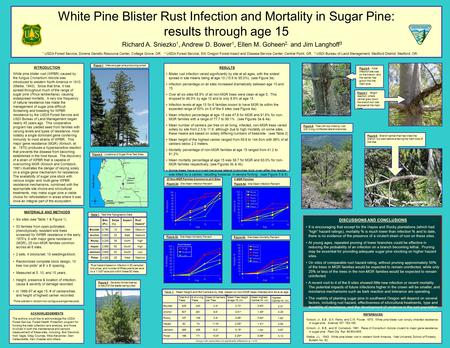 White Pine Blister Rust Infection and Mortality in Sugar Pine: results through age 15 Richard A. Sniezko 1, Andrew D. Bower 1, Ellen M. Goheen 2, and Jim.