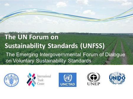 The Emerging Intergovernmental Forum of Dialogue on Voluntary Sustainability Standards The UN Forum on Sustainability Standards (UNFSS)