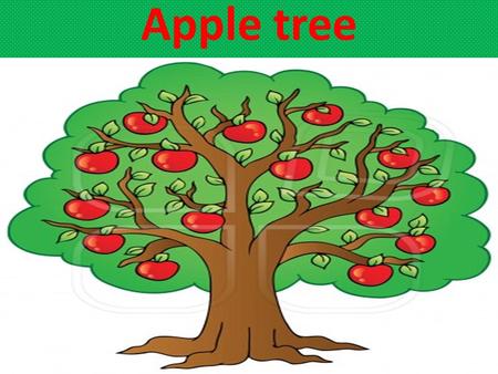 Apple tree. History Apples originated in Europe near the Caspian Sea and were eaten by ancient Greeks and Romans There has been evidence of apples found.