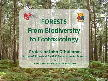 FORESTS From Biodiversity to Ecotoxicology Professor John O’Halloran School of Biological, Earth & Environmental Sciences & Environmental Research Institute.