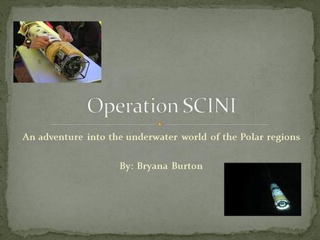 An adventure into the underwater world of the Polar regions By: Bryana Burton.