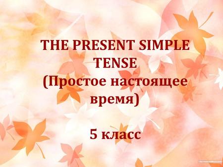 THE PRESENT SIMPLE TENSE (Простое настоящее время)