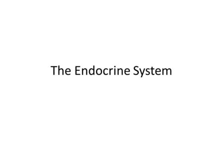 The Endocrine System.