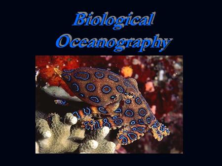 Biological Oceanography